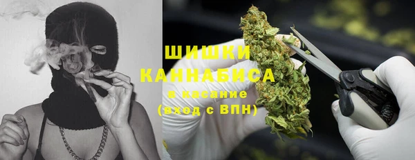 шишки Нефтегорск
