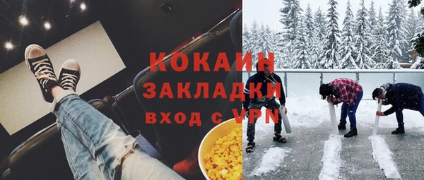 шишки Нефтегорск