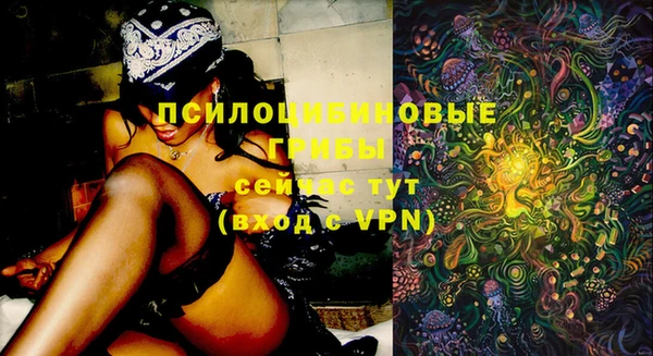 шишки Нефтекумск