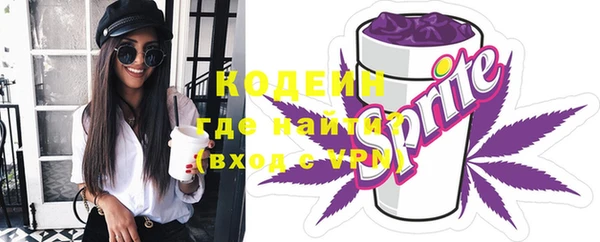 гашик Надым