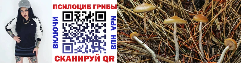 Галлюциногенные грибы GOLDEN TEACHER Лабытнанги
