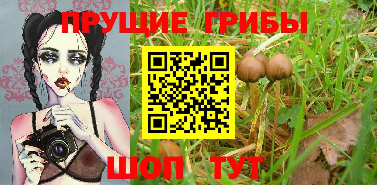 Лабытнанги  Галлюциногенные грибы прущие грибы  Вход с VPN  Псилоцибиновые грибы MAGIC MUSHROOMS 