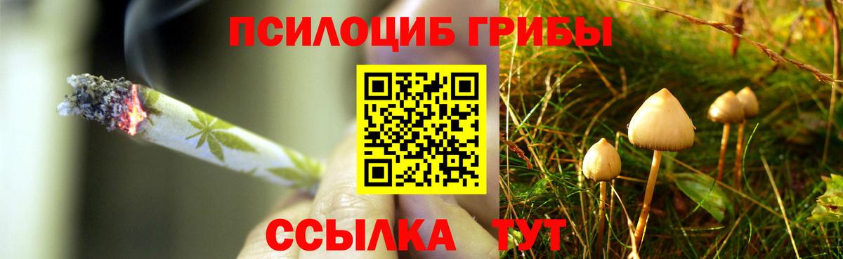 Псилоцибиновые грибы GOLDEN TEACHER Лабытнанги