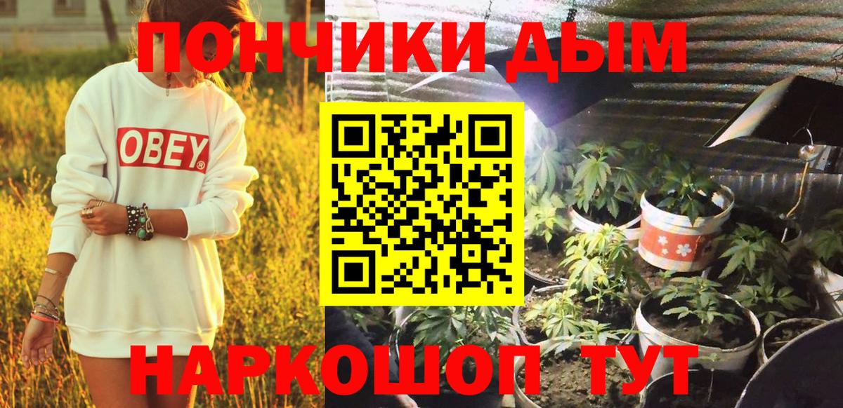 Конопля AK-47  Шишки марихуана конопля  Вход с VPN  Лабытнанги  Бошки Шишки марихуана 